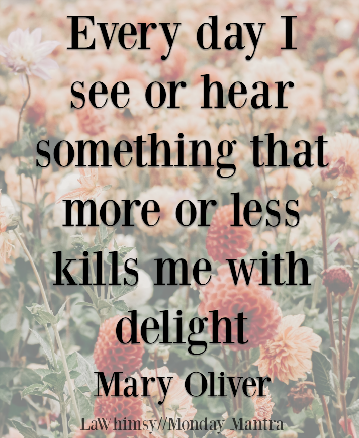 Every day I see or hear something that more or less kills me with delight Mary Oliver Monday Mantra 189 via LaWhimsy